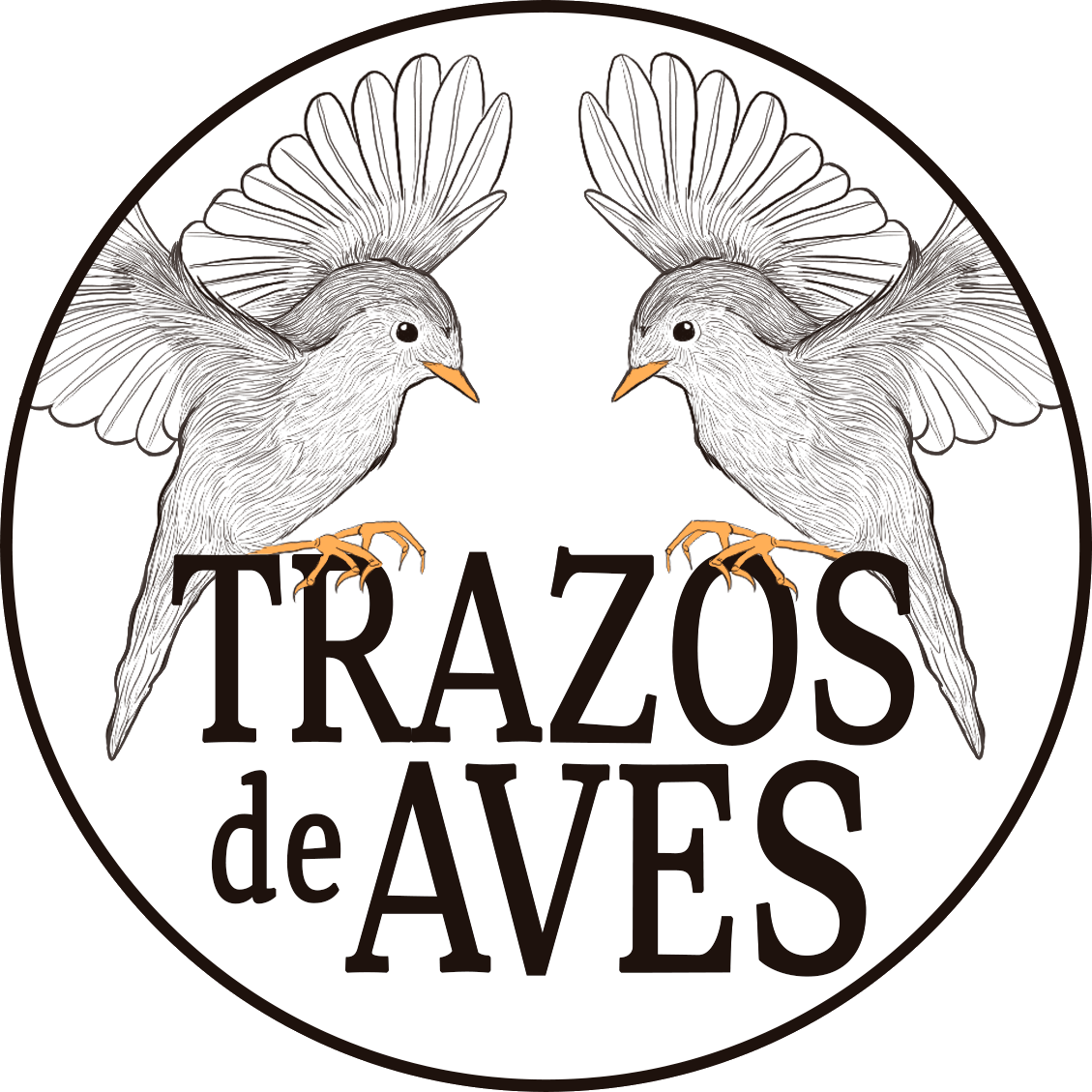 Trazos de Aves