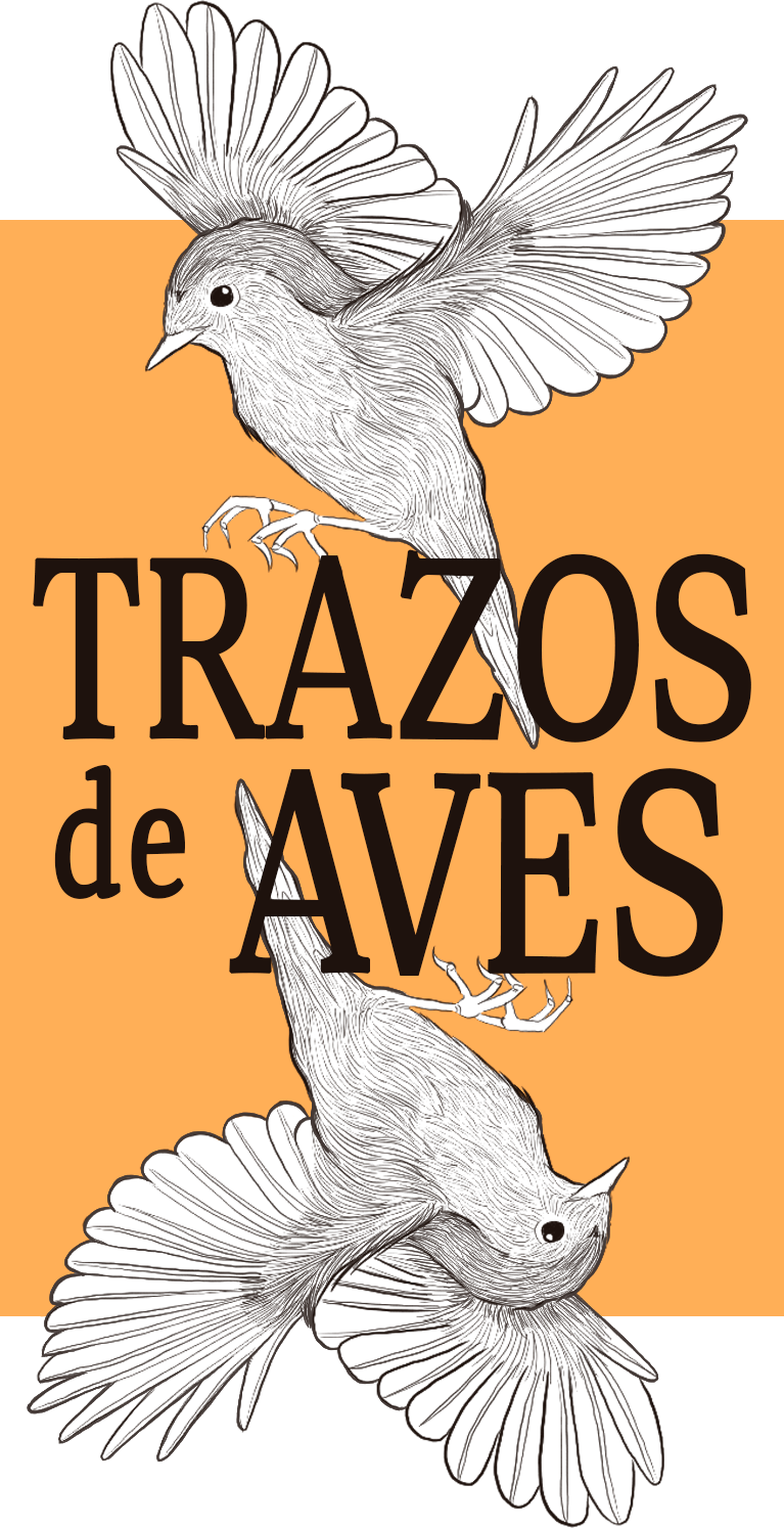 Trazos de Aves